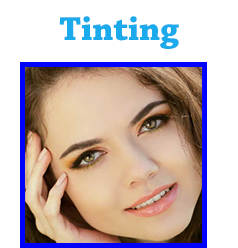 Tinting Course