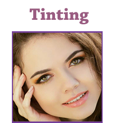 Tinting Course